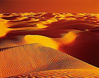 Xbox总监斯宾塞：游戏未必进XGP才能成功