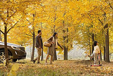 SE确认《圣剑传说》系列主机新作开发中