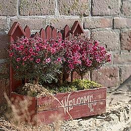 《我的好友小猪佩奇》游戏Steam正式发售 支持简体中文